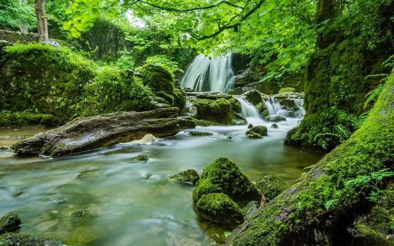 高端可靠性